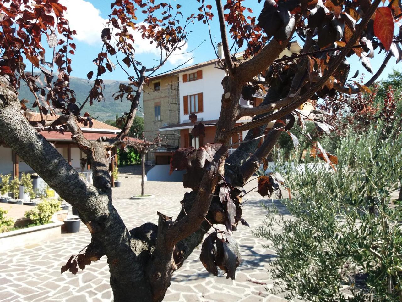Bed & Breakfast Ciancaleoni Rivotorto Exterior foto